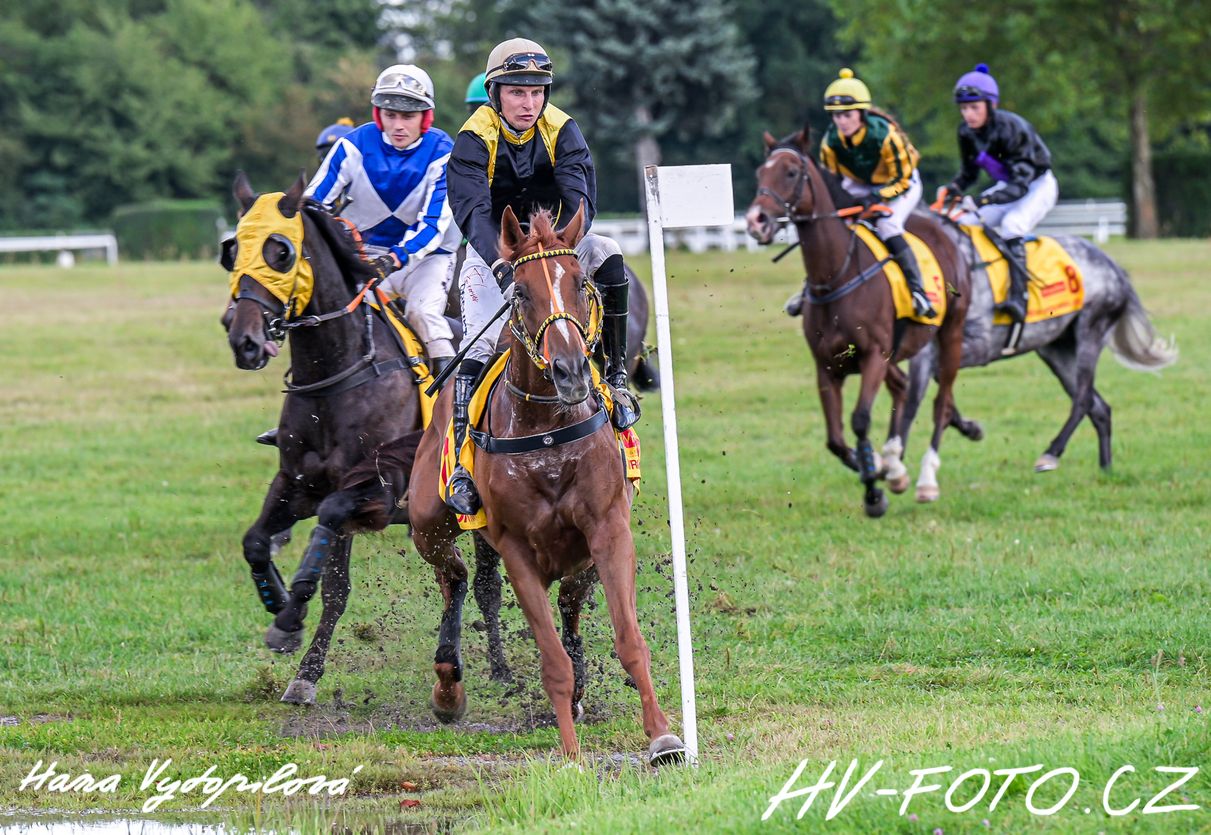 DSC_7651 kopie.jpg